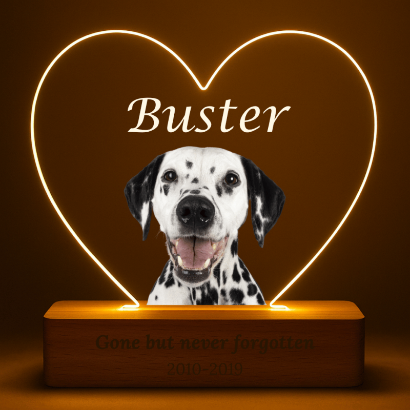 Personalised Dog Memorial Light with Photo – Heart LED Pet Tribute Lamp with Engraved Name & Dates on Acrylic Plaque