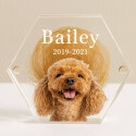 Personalised Acrylic Dog Keepsake with Photo – Custom Pet Fur or Tooth Memorial Box with Name & Dates