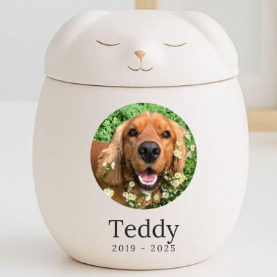 Personalised Ceramic Dog Urn with Sleeping Pet...